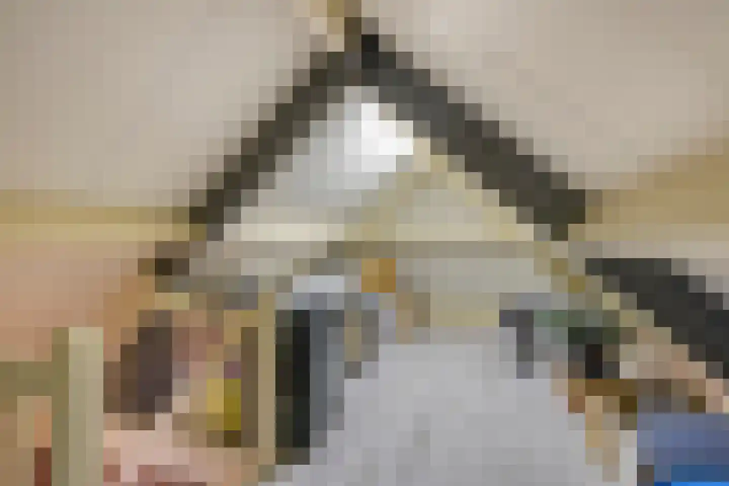 Walnoot 4 Langenboom thumbnail 37
