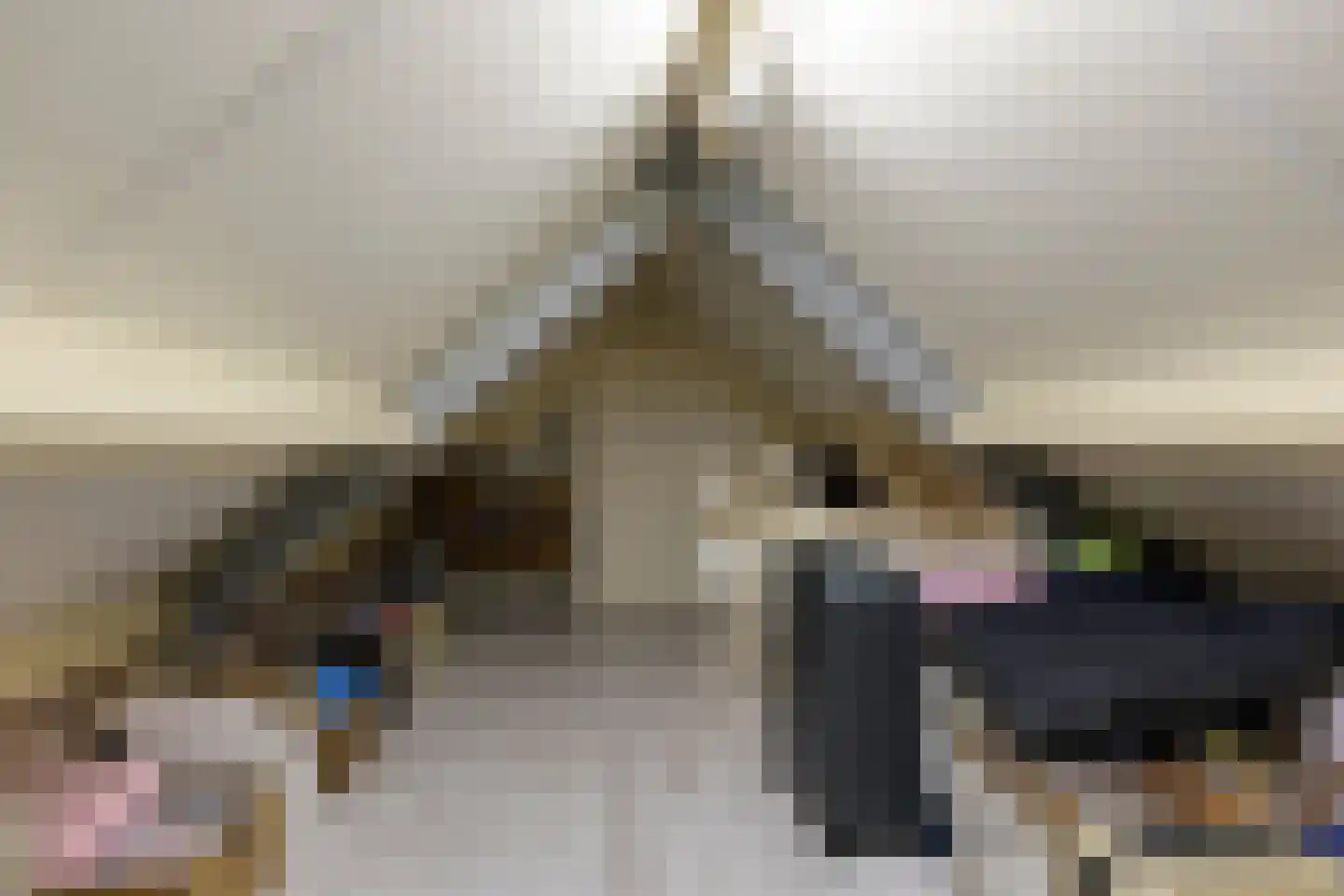 Walnoot 4 Langenboom thumbnail 38