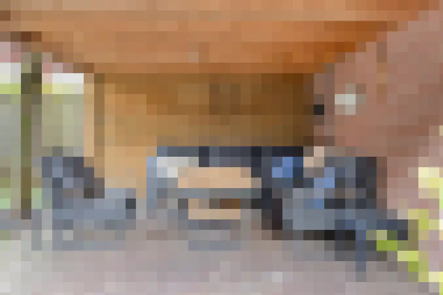 Walnoot 4 Langenboom thumbnail 44