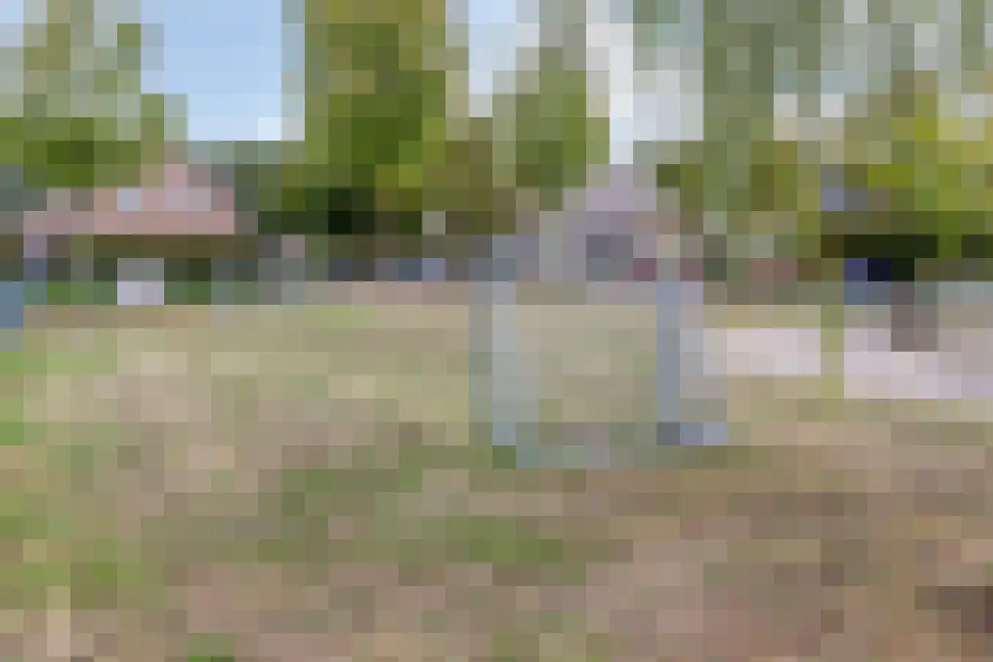 Walnoot 4 Langenboom thumbnail 48