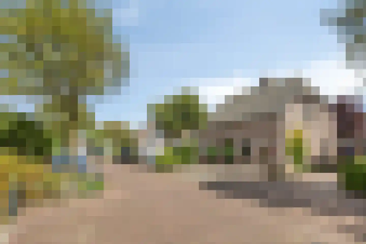 Walnoot 4 Langenboom thumbnail 5