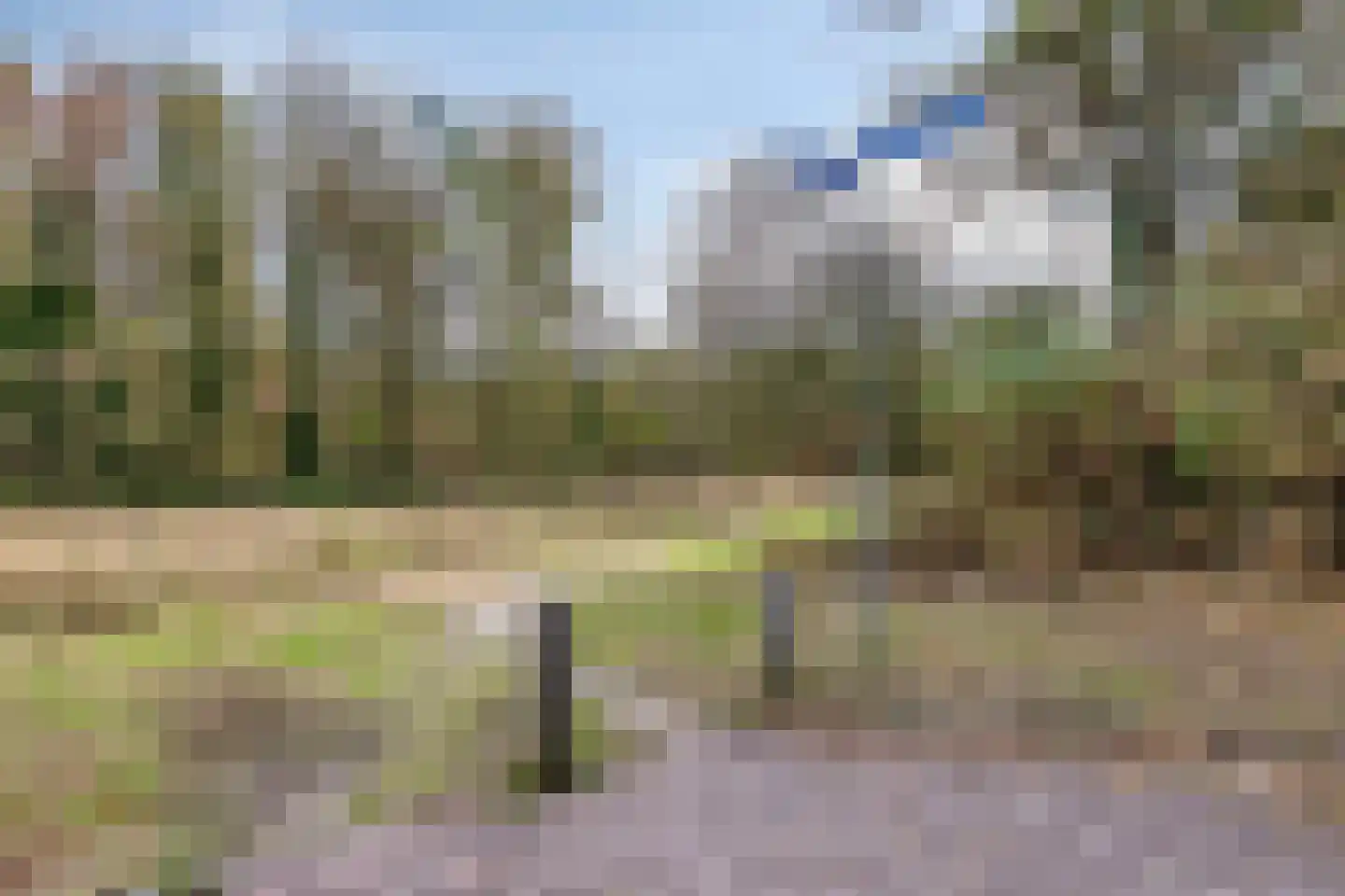 Walnoot 4 Langenboom thumbnail 55