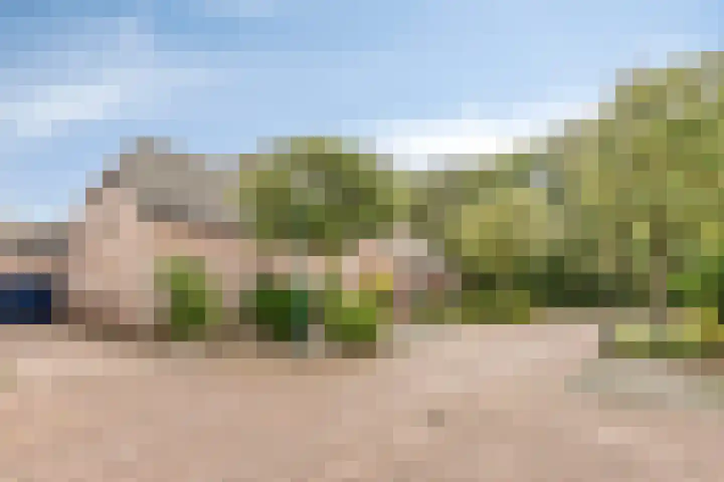 Walnoot 4 Langenboom thumbnail 8