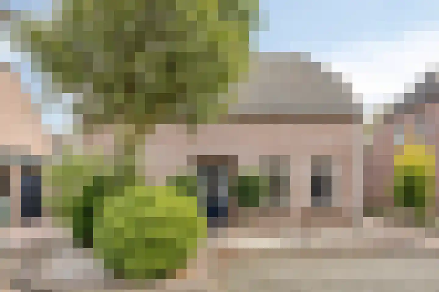 Walnoot 4 Langenboom thumbnail 9