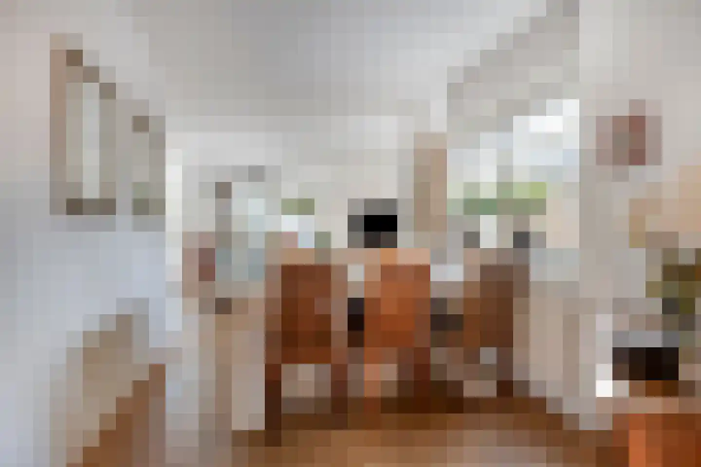 Walnootgaarde 11 Nieuwegein thumbnail 14