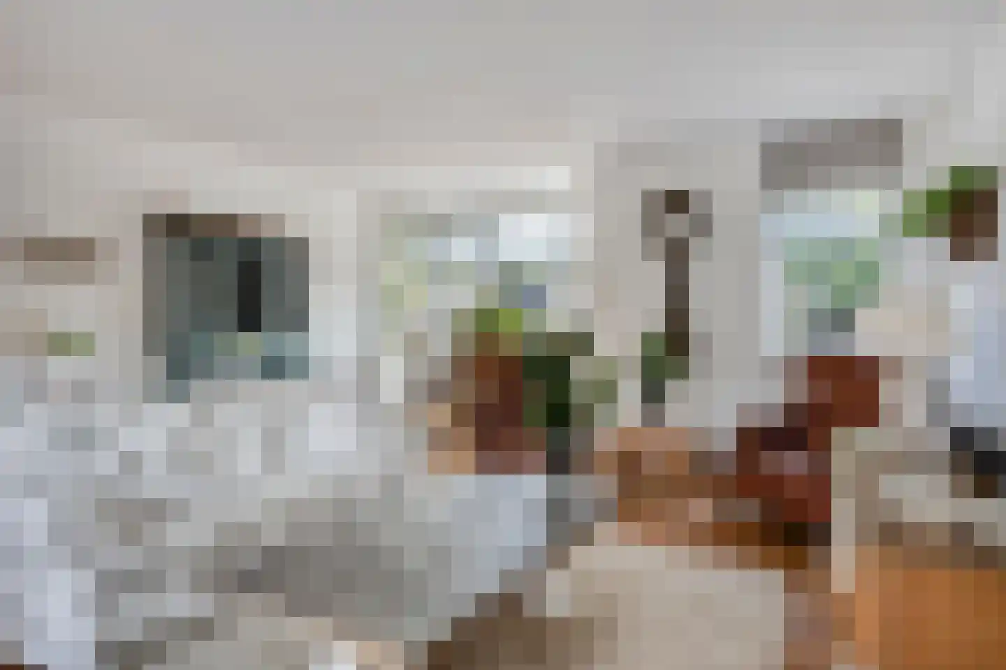 Walnootgaarde 11 Nieuwegein thumbnail 22