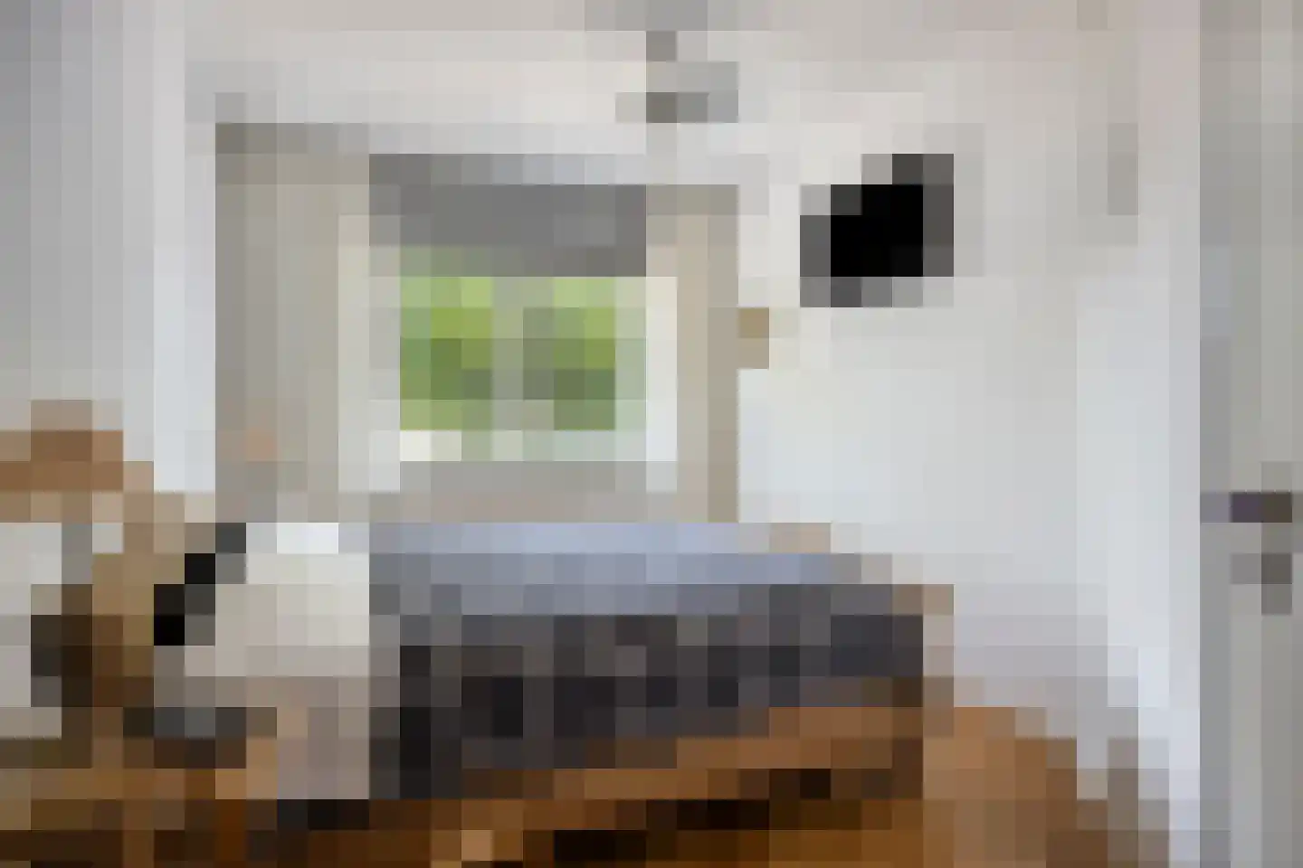 Walnootgaarde 11 Nieuwegein thumbnail 28