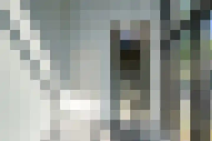 Walnootgaarde 17 Nieuwegein thumbnail 31
