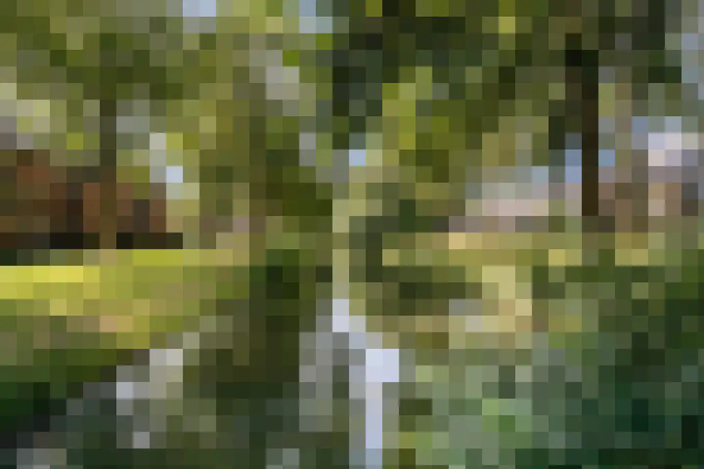 Walnootgaarde 33 Nieuwegein thumbnail 35