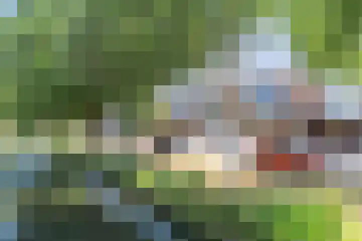 Walnootgaarde 5 Nieuwegein thumbnail 32