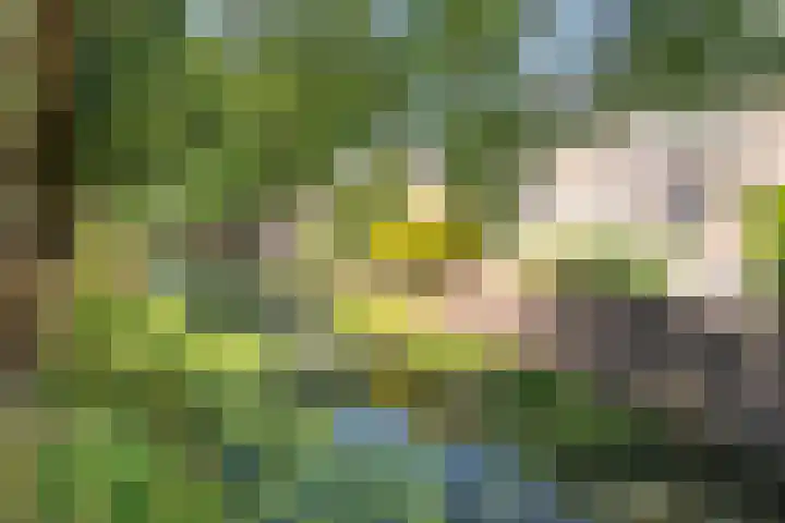 Walnootgaarde 5 Nieuwegein thumbnail 33