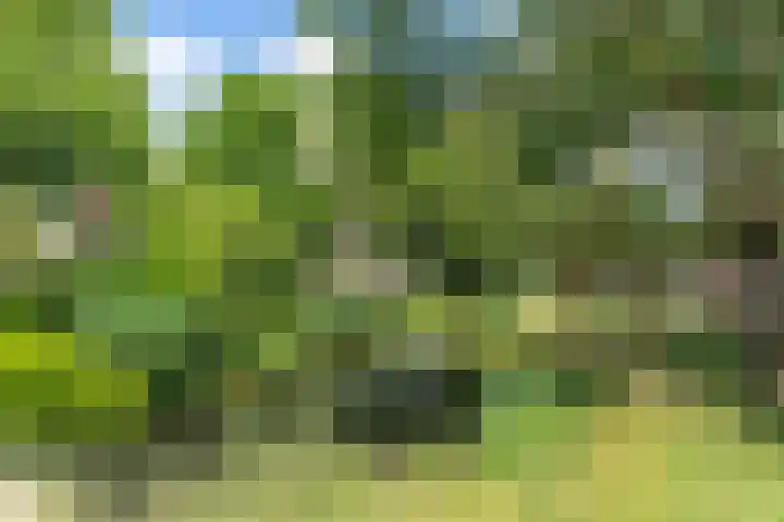 Walnootgaarde 5 Nieuwegein thumbnail 34