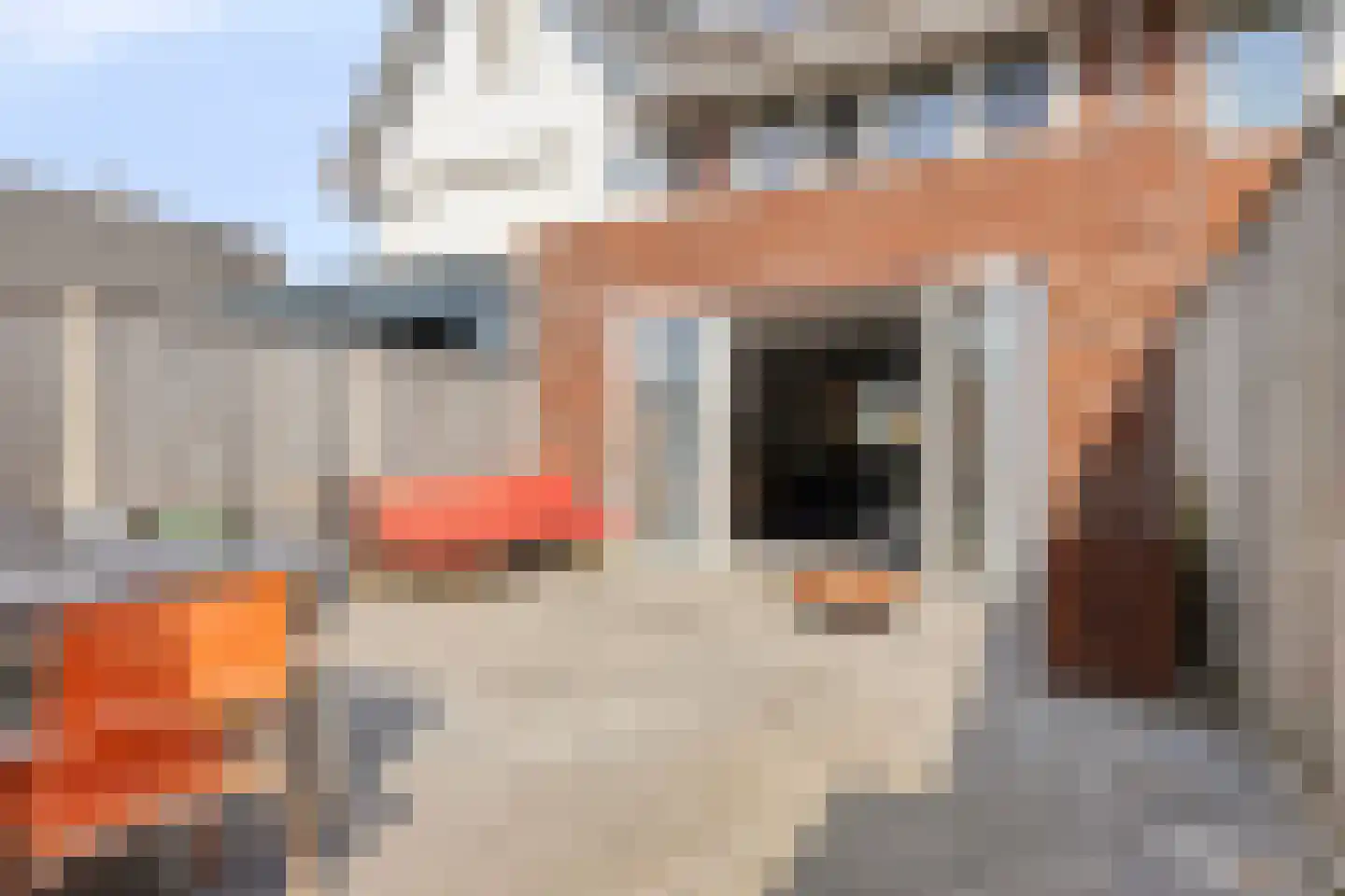 Walnoothof 20 Helmond thumbnail 18