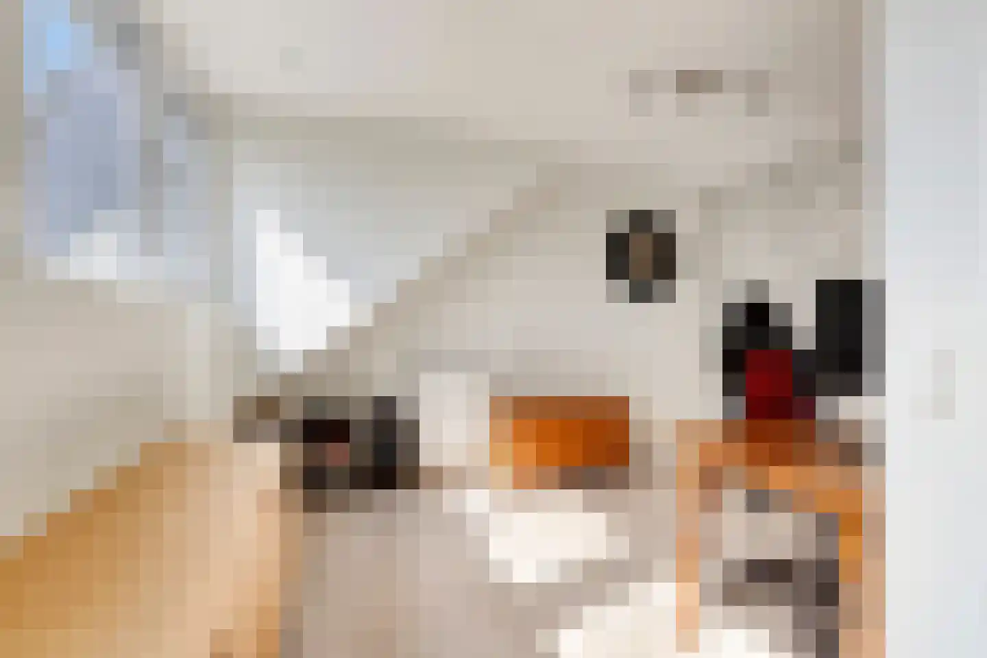Walnoothof 20 Helmond thumbnail 30