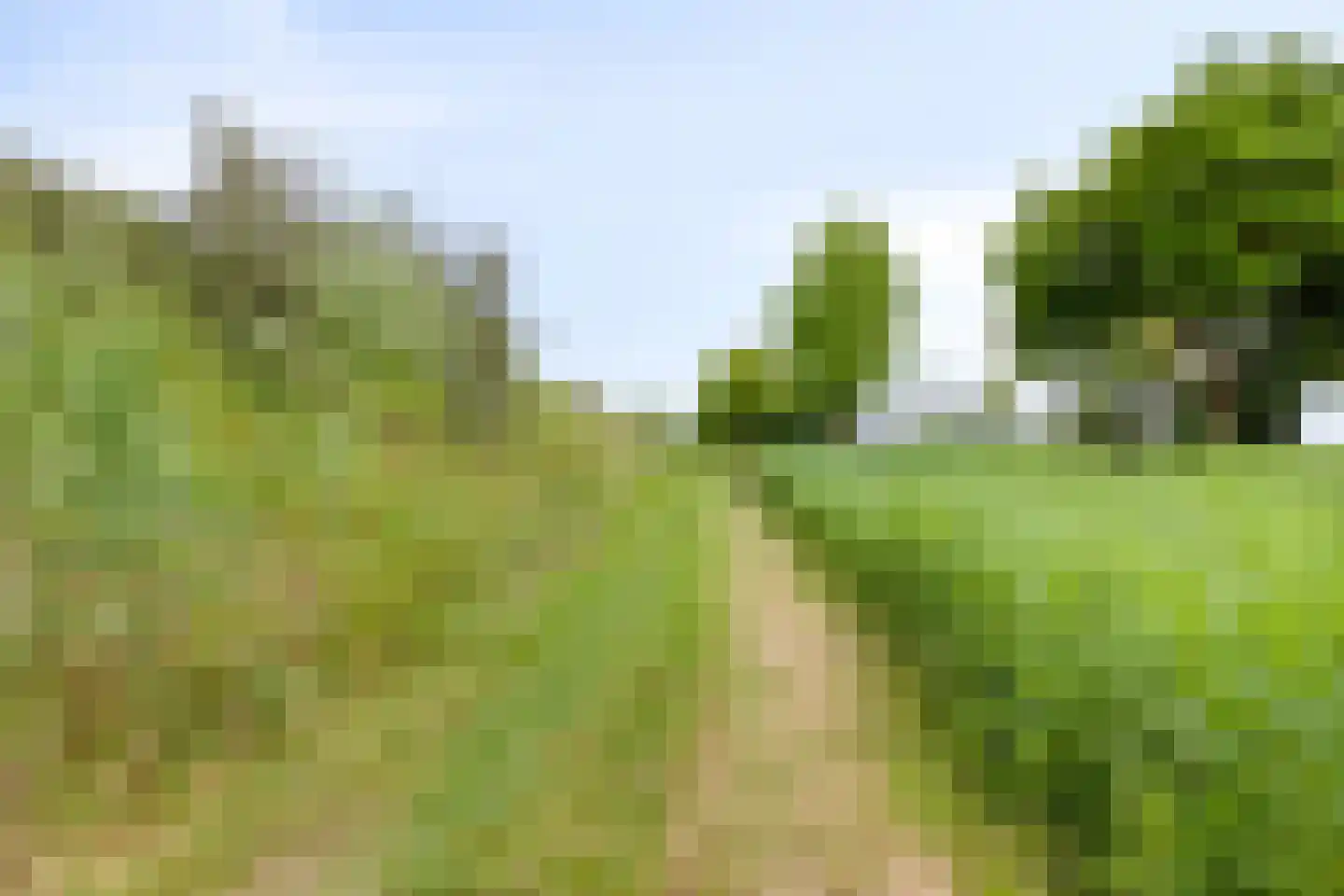 Walnoothof 20 Helmond thumbnail 34