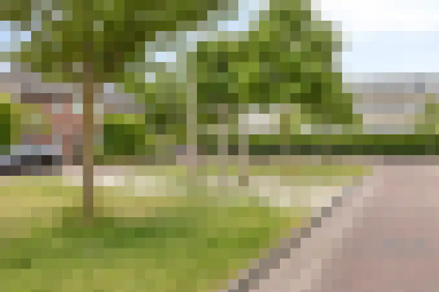 Walnoothof 20 Helmond thumbnail 36