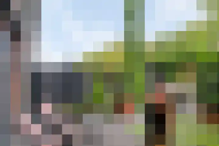 Walnoothof 42 Helmond thumbnail 32