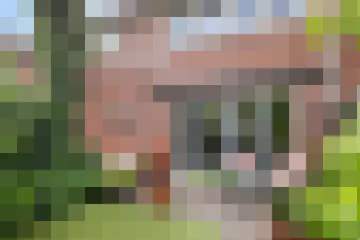 Walnoothof 42 Helmond thumbnail 6
