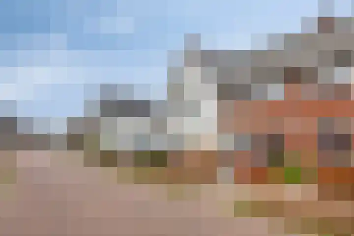 Walnoothof 43 Helmond thumbnail 27
