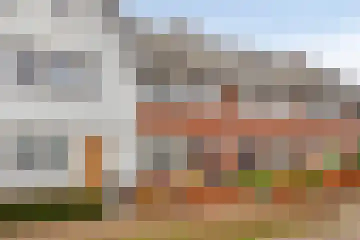Walnoothof 43 Helmond thumbnail 8