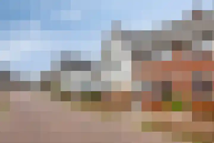 Walnoothof 43 Helmond thumbnail 9