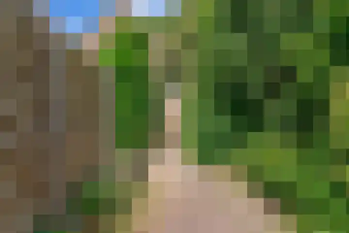 Walnootlaan 10 Bilthoven thumbnail 29