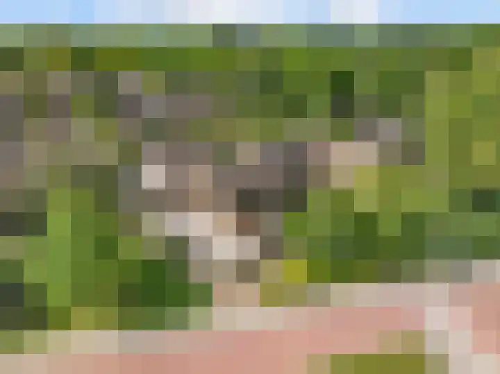 Walnootlaan 10 Bilthoven thumbnail 30