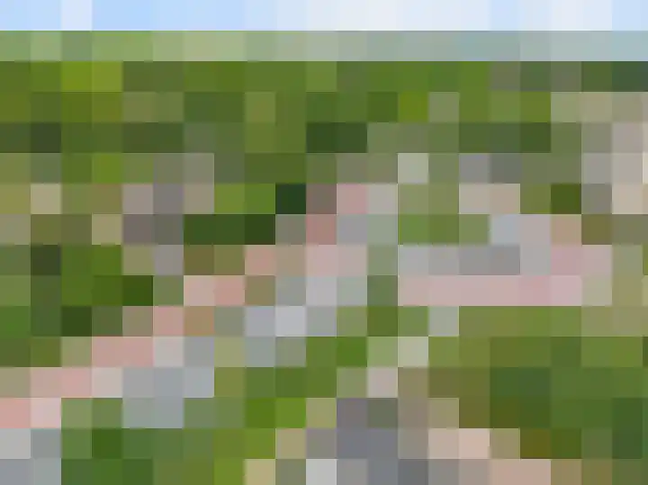 Walnootlaan 10 Bilthoven thumbnail 31