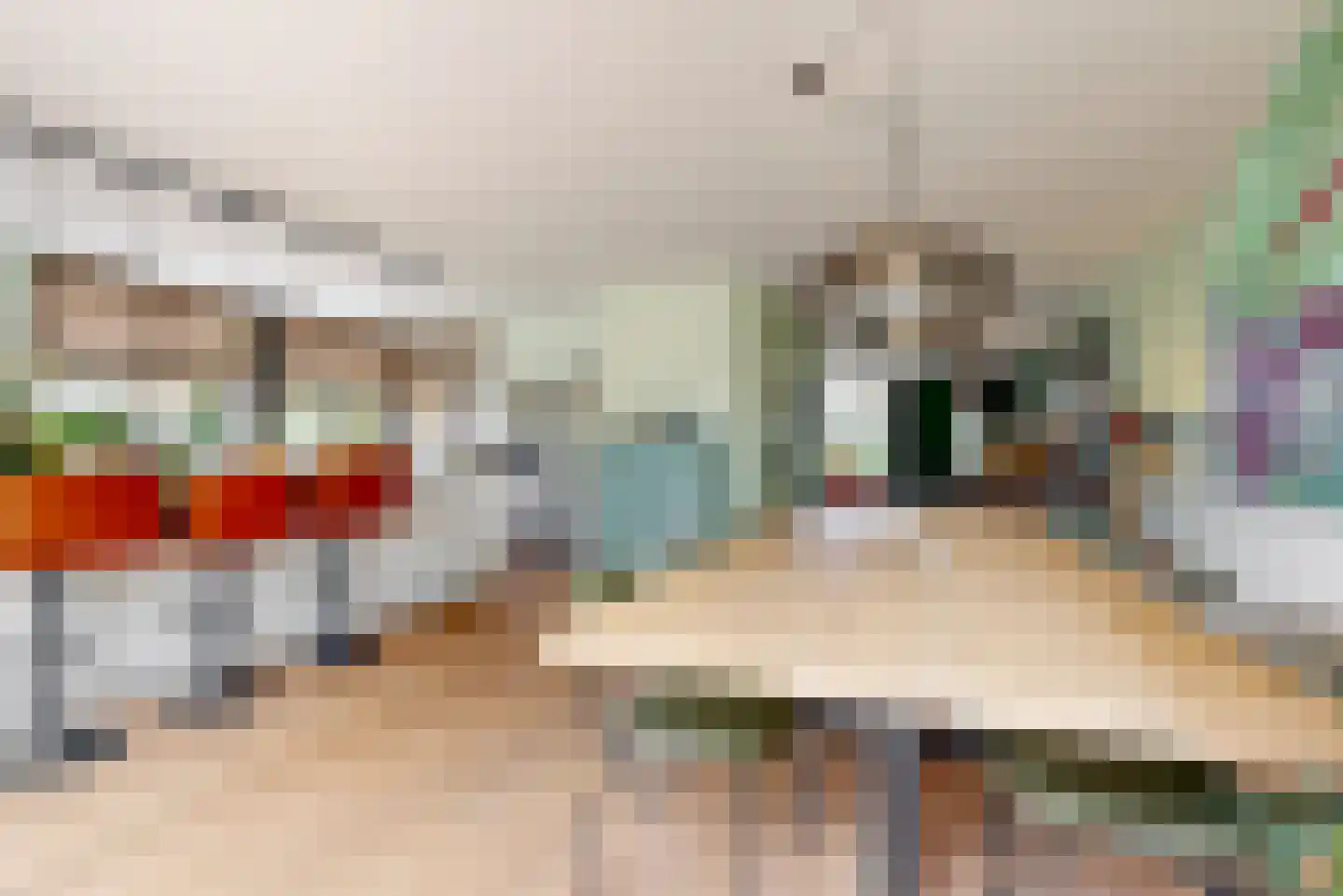 Walnootlint 18 Limmen thumbnail 10