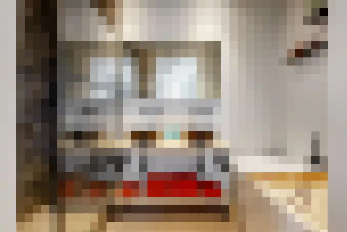 Walnootlint 18 Limmen thumbnail 27