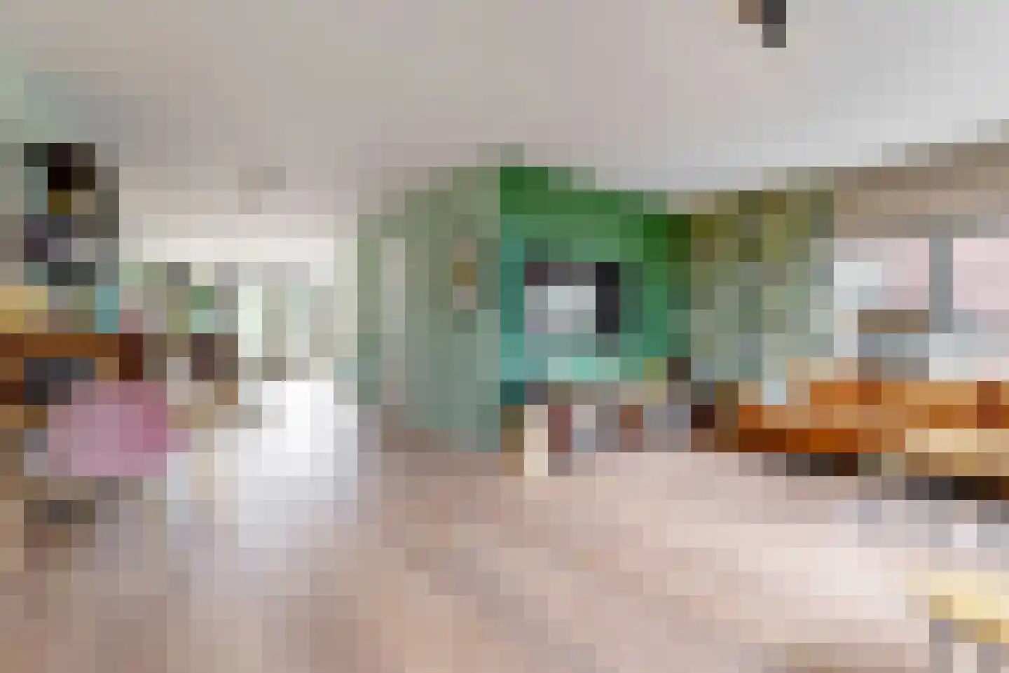Walnootlint 18 Limmen thumbnail 4