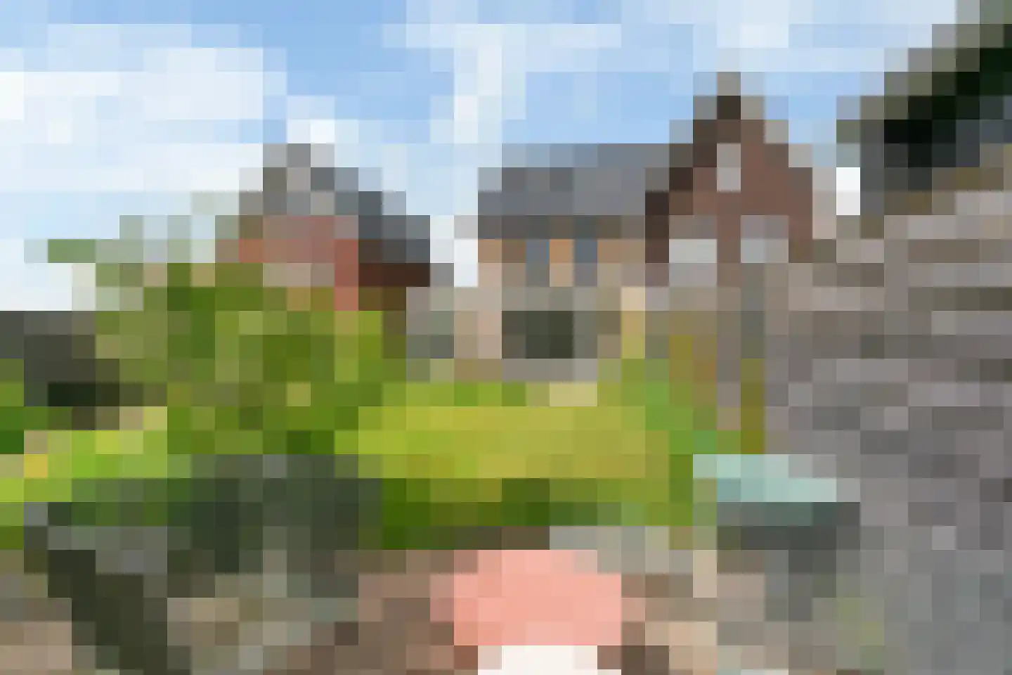 Walnootlint 18 Limmen thumbnail 45