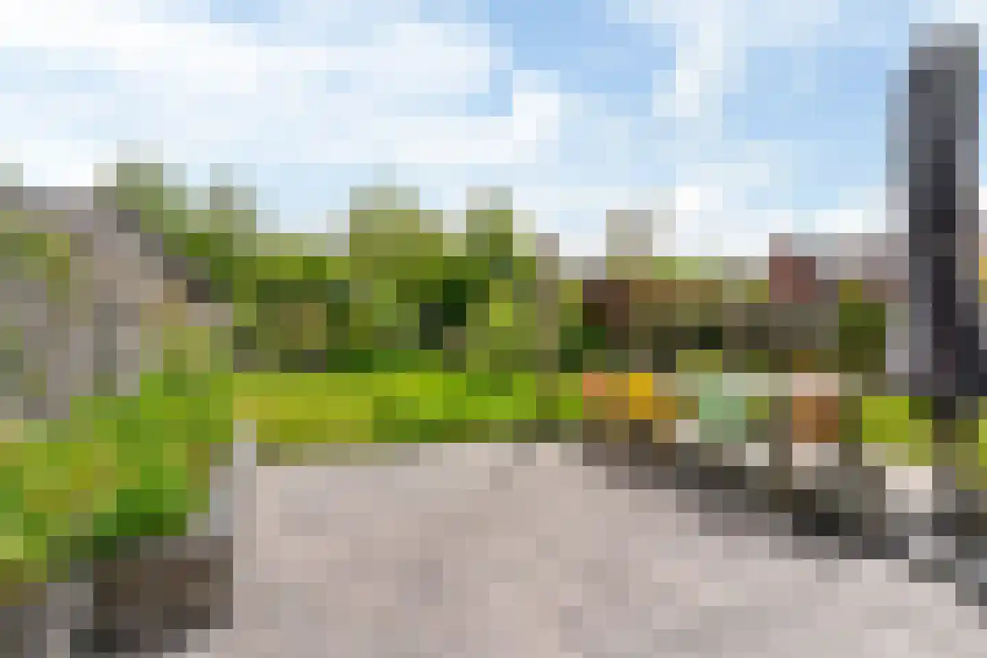 Walnootlint 18 Limmen thumbnail 49