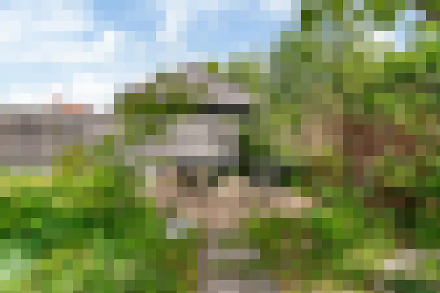 Walnootlint 18 Limmen thumbnail 50