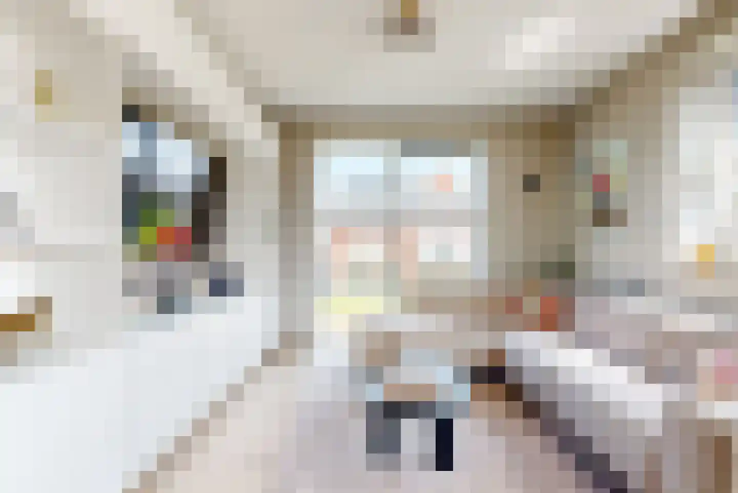 Walnootlint 34 Limmen thumbnail 13