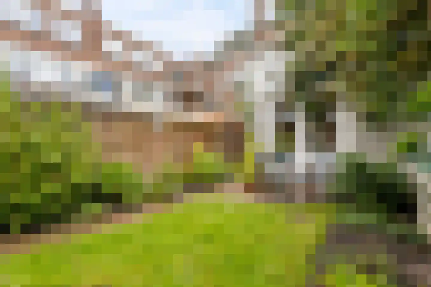 Walnootstraat 10 Utrecht thumbnail 26