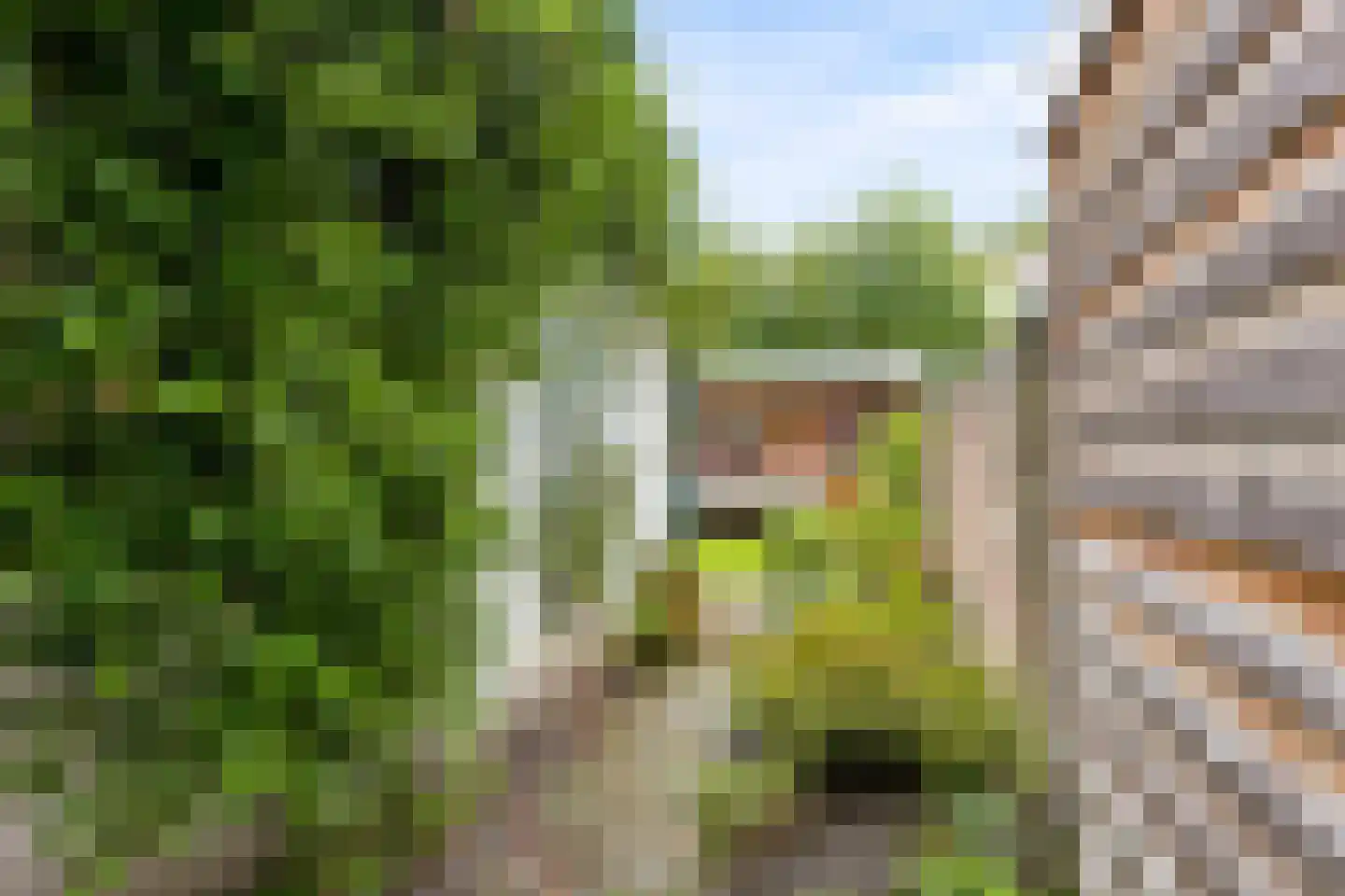 Walnootstraat 10 Utrecht thumbnail 28