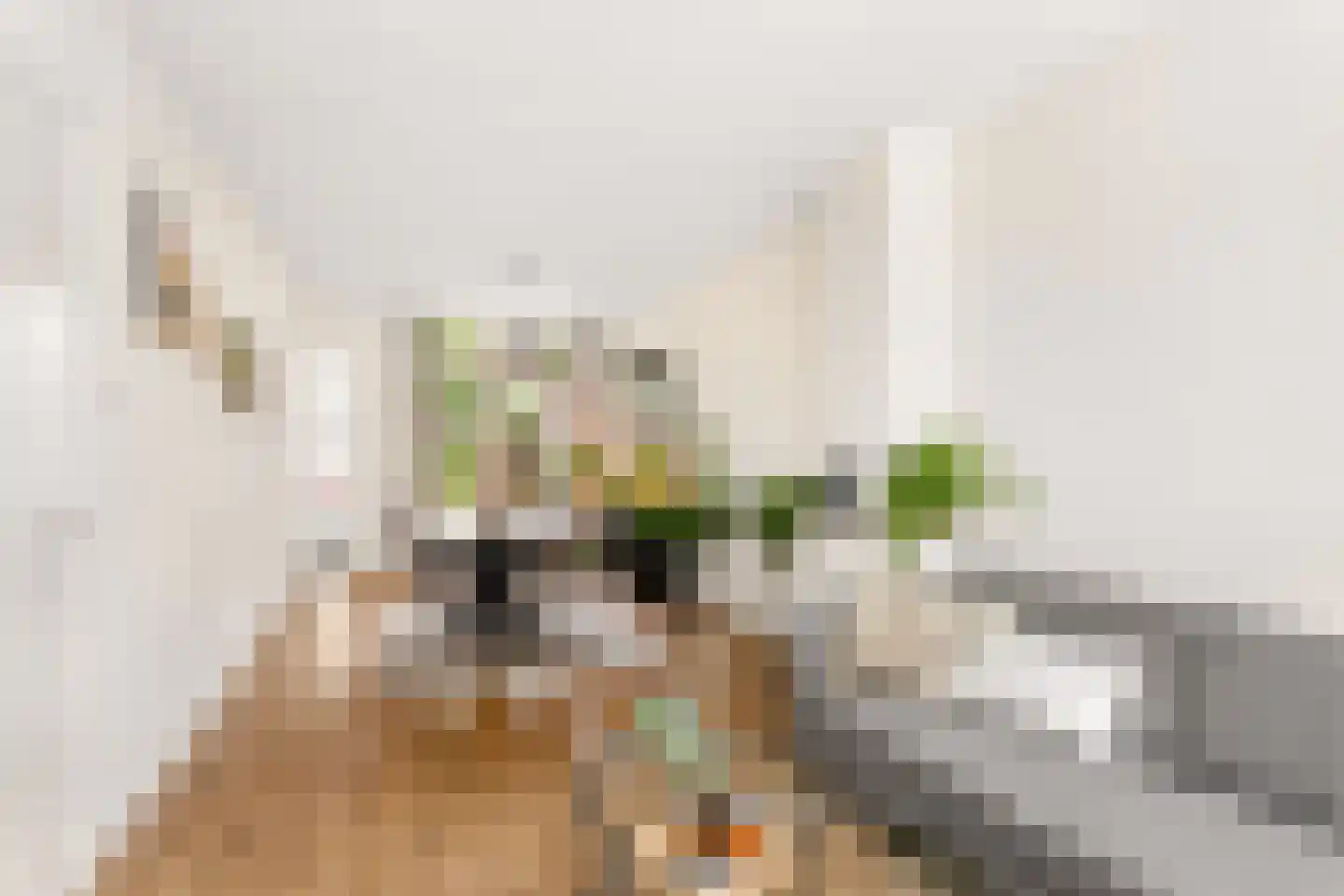 Walnootstraat 10 Utrecht thumbnail 8