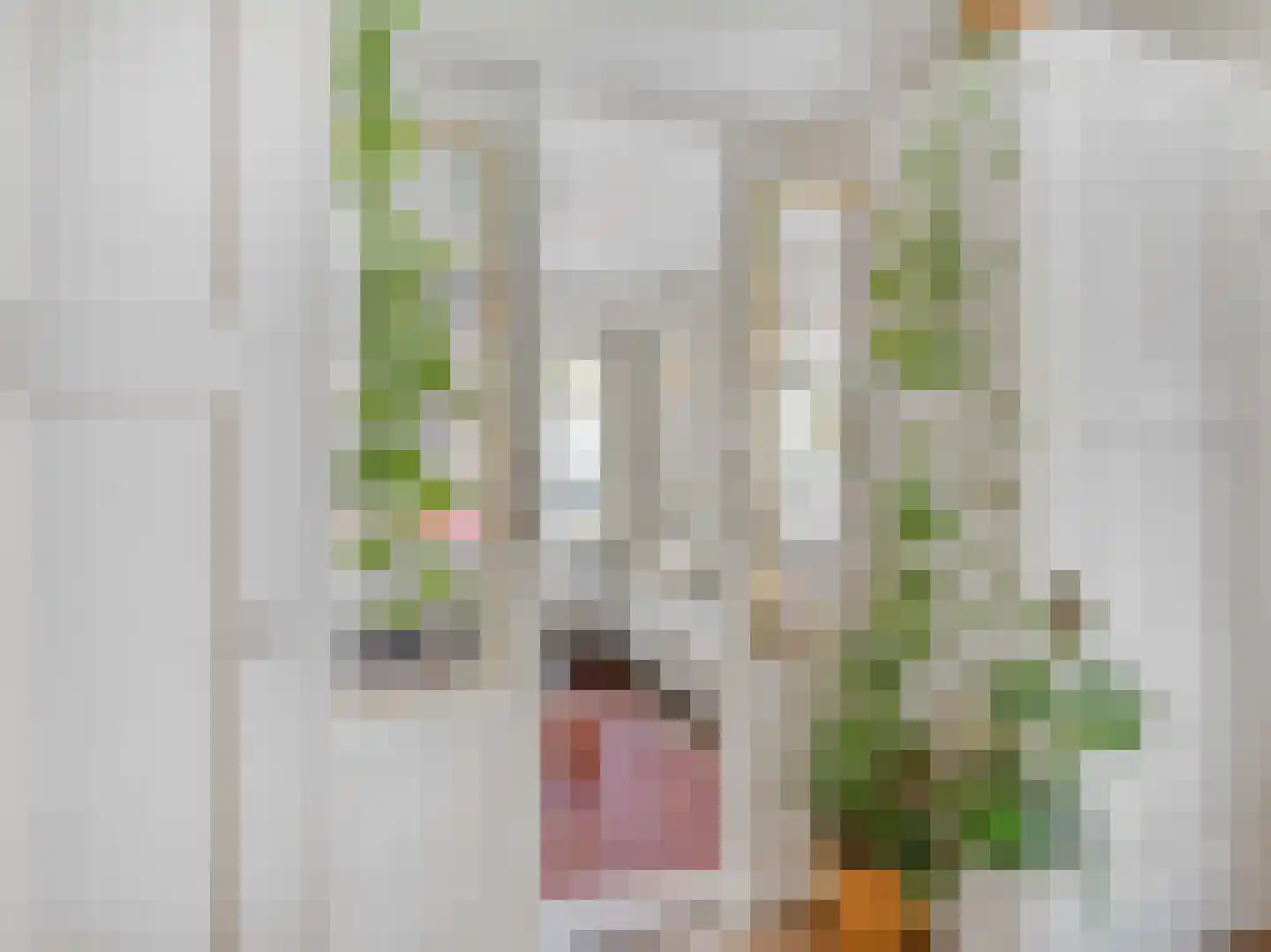 Walnootstraat 17 Utrecht thumbnail 13