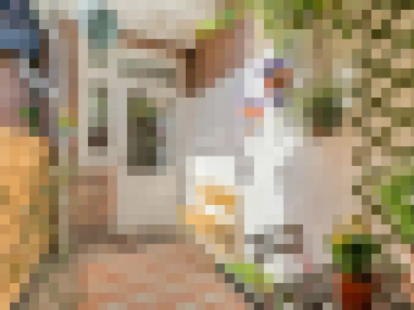 Walnootstraat 17 Utrecht thumbnail 30