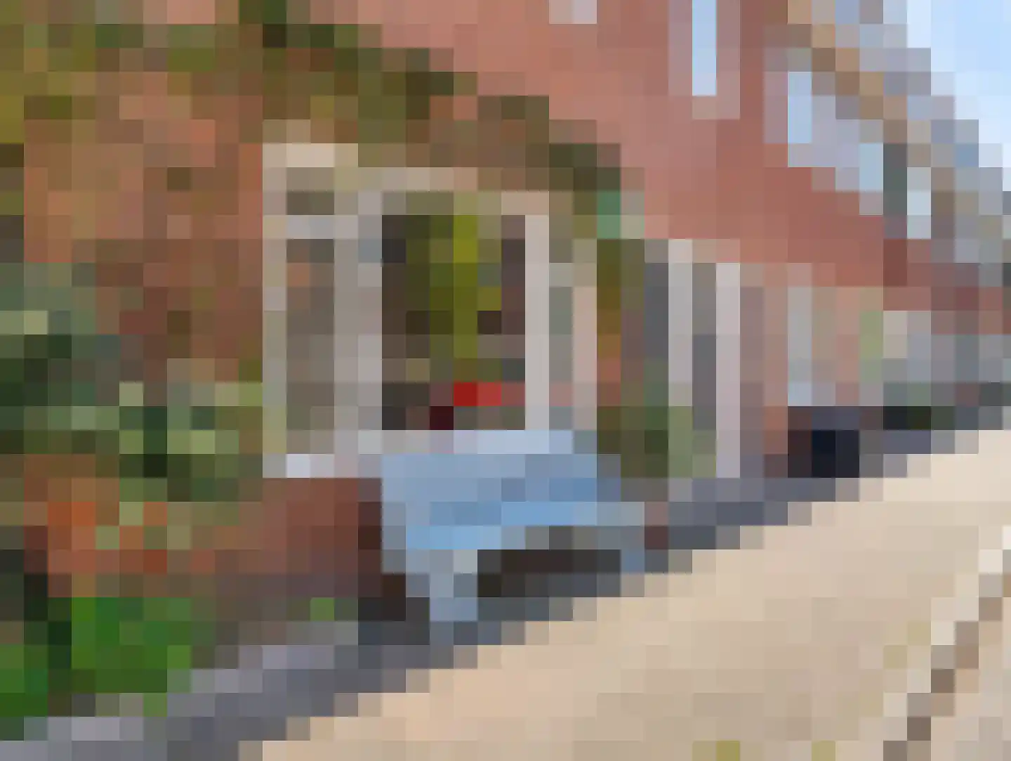 Walnootstraat 17 Utrecht thumbnail 8