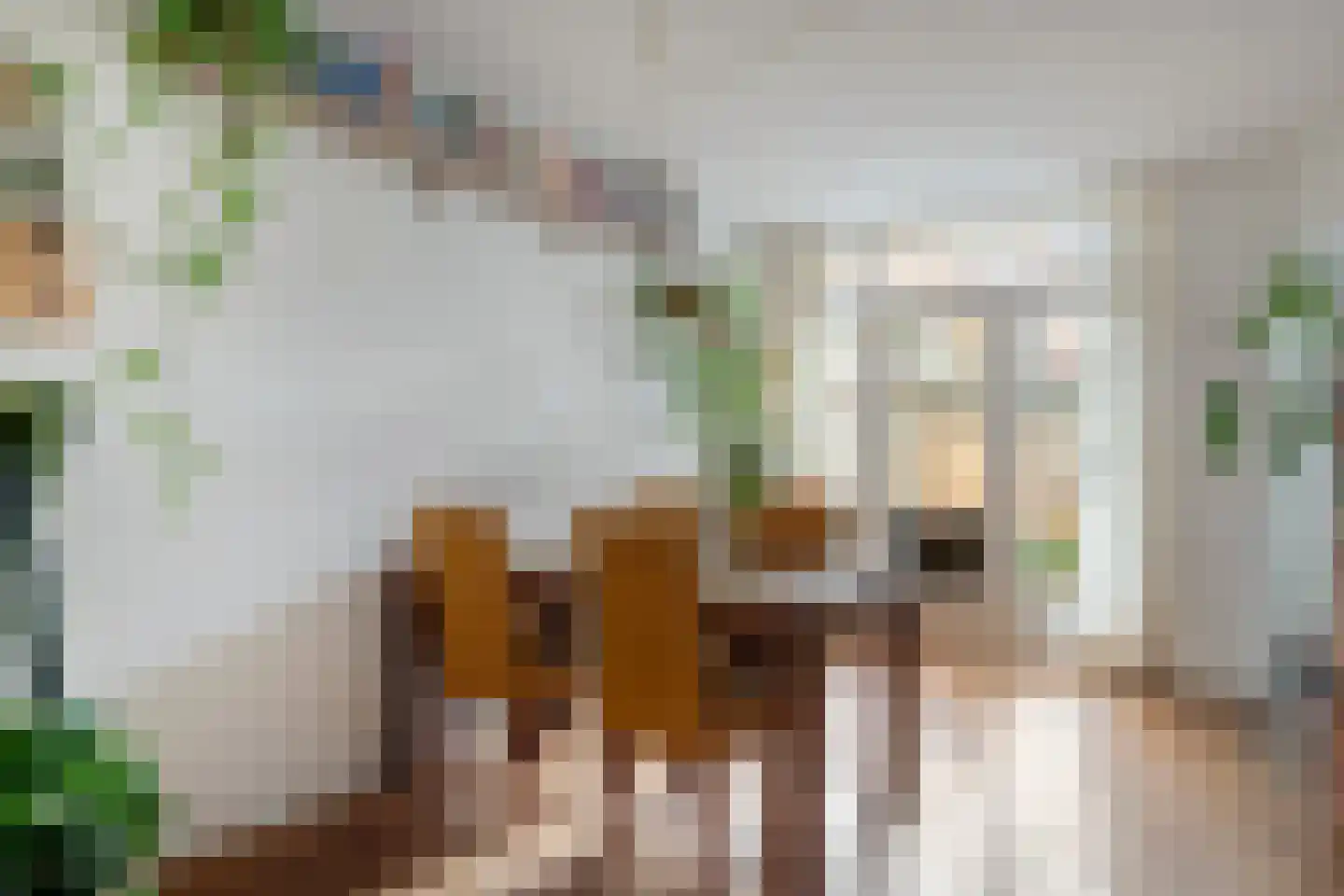 Walnootstraat 2 Utrecht thumbnail 13