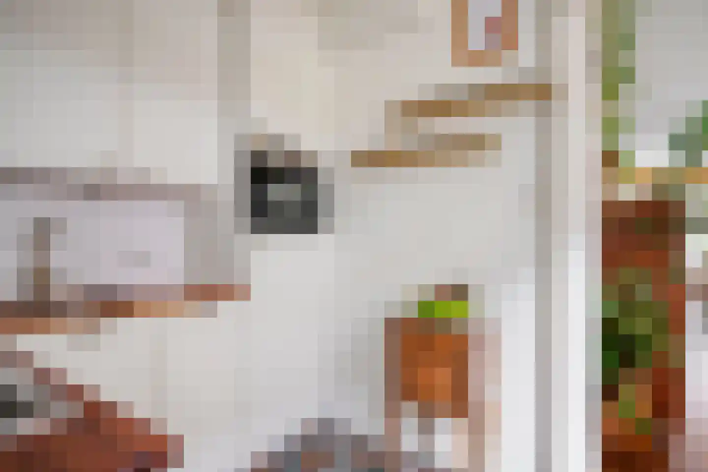Walnootstraat 2 Utrecht thumbnail 24