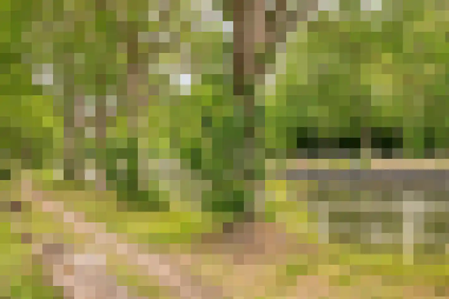 Walnootstraat 2 Utrecht thumbnail 33