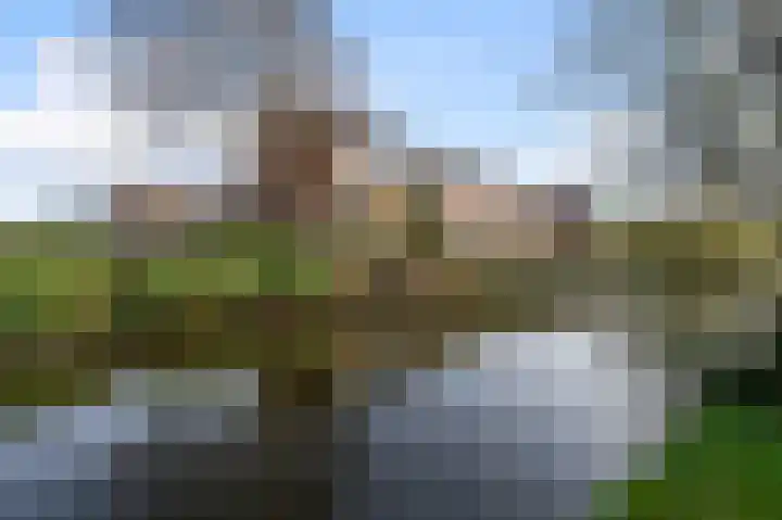 Walnootstraat 25 Ter Aar