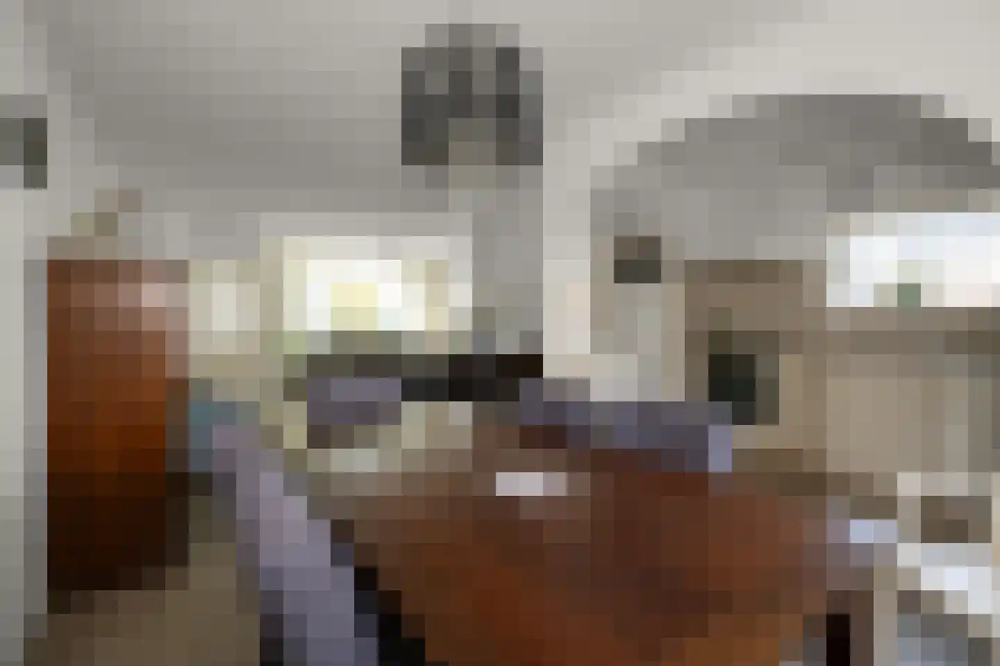 Walnootstraat 25 Ter Aar thumbnail 17