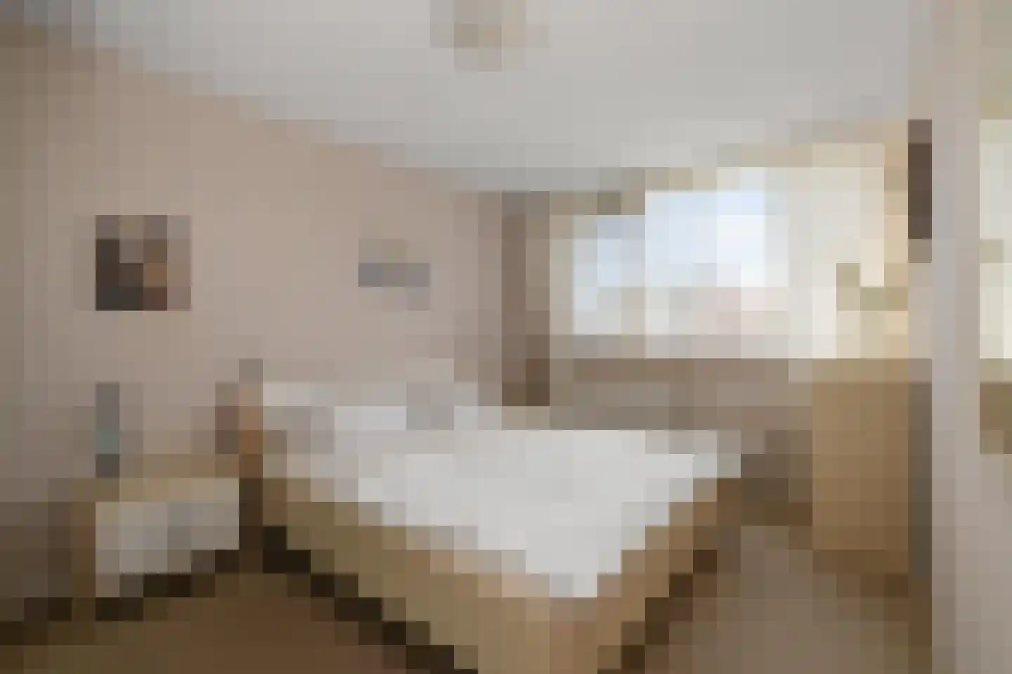 Walnootstraat 25 Ter Aar thumbnail 18