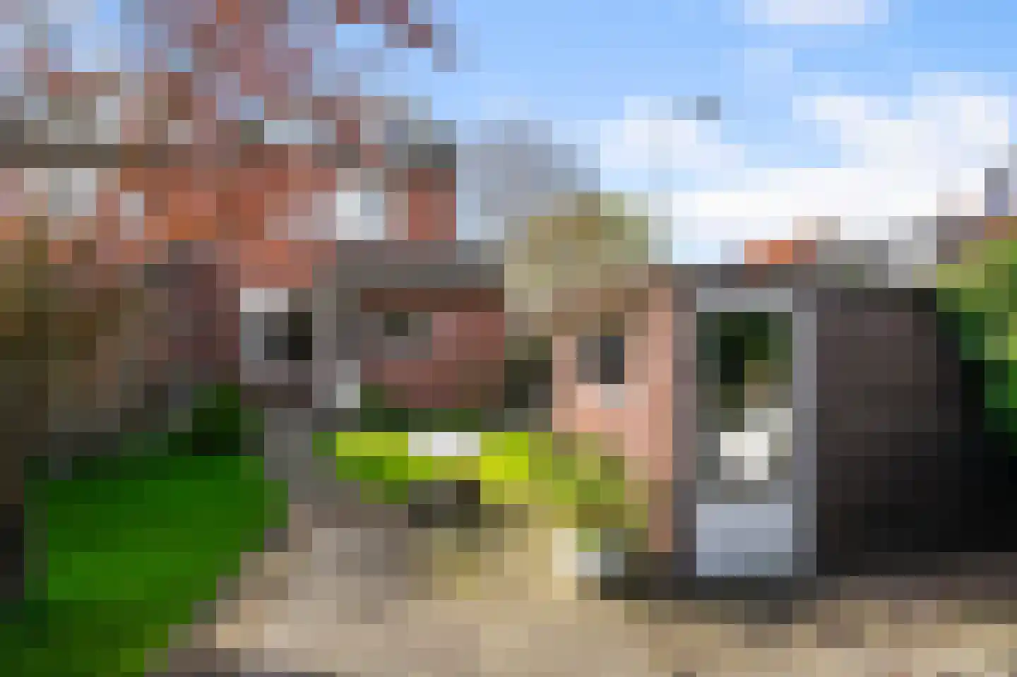 Walnootstraat 25 Ter Aar thumbnail 5