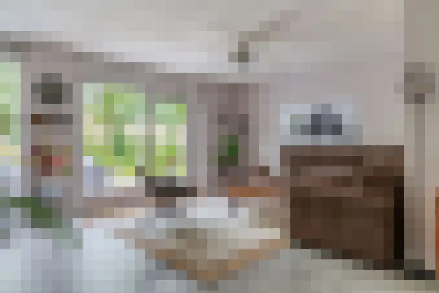 Walnootstraat 31 Schoonhoven thumbnail 12