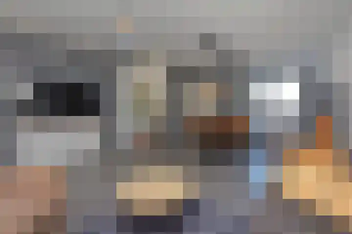 Walnootstraat 31 Ter Aar thumbnail 8